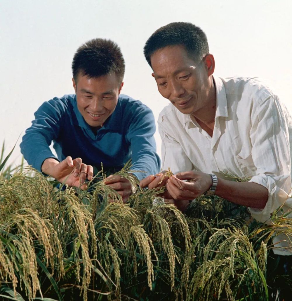 亦舒最新作品在線閱讀，革新科技與生活融合的閱讀體驗(yàn)新篇章