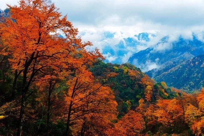 光霧山最新路況與行車指南，旅行體驗(yàn)詳解
