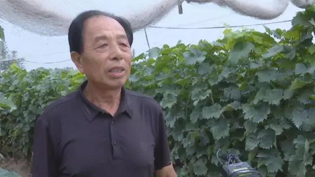 孟村環(huán)保最新動(dòng)態(tài)更新